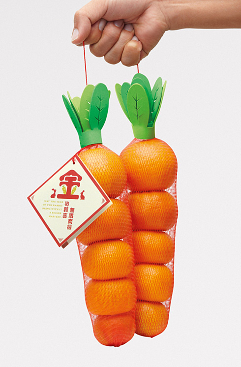 水果創(chuàng)意包裝